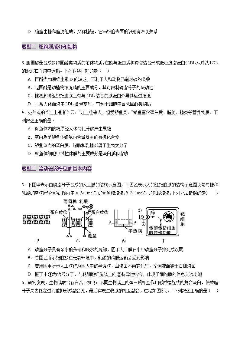 新高考生物一轮复习讲练测第05讲 细胞膜和细胞核(练习)(2份,原卷版+解析版)02