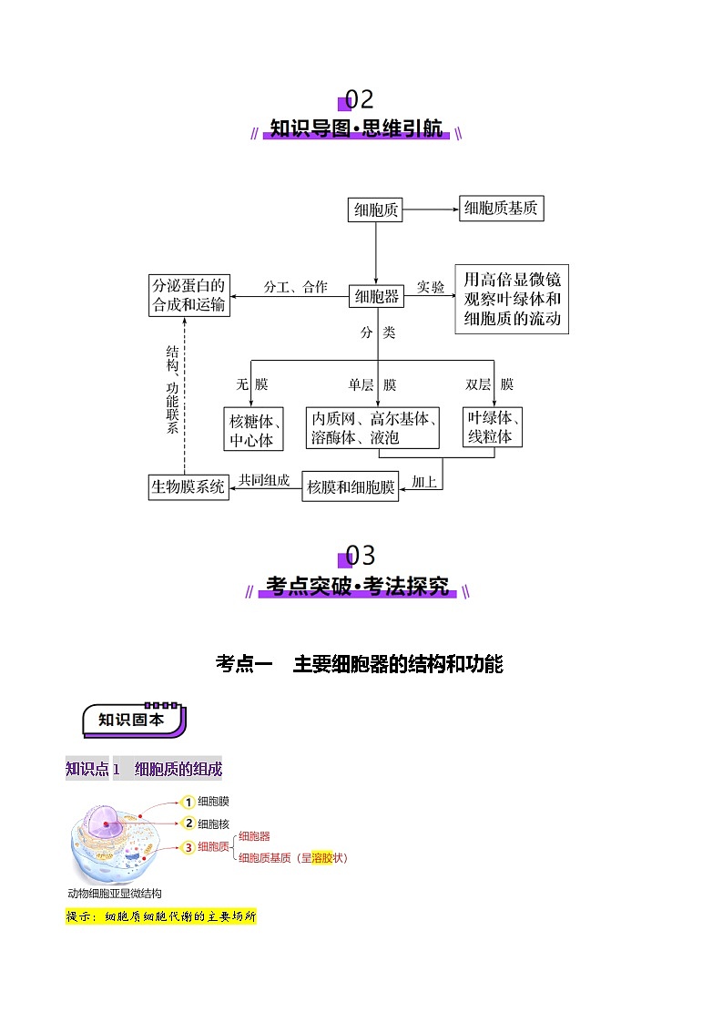 新高考生物一轮复习讲练测第06讲 细胞器和生物膜系统(讲义)(原卷版)第3页