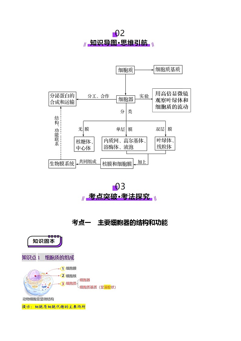 新高考生物一轮复习讲练测第06讲 细胞器和生物膜系统(讲义)(解析版)第3页