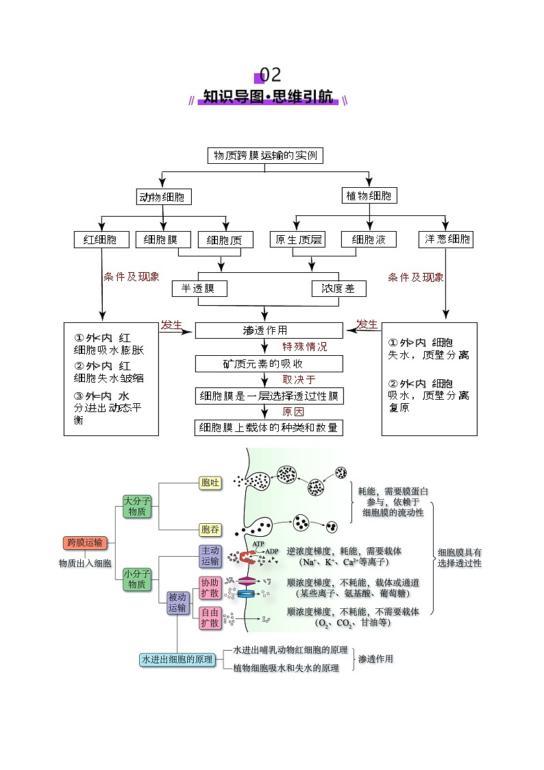 新高考生物一轮复习讲练测第07讲 物质运输(讲义)(原卷版)第3页