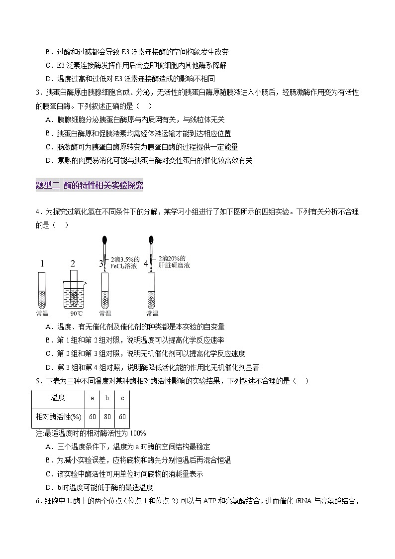 新高考生物一轮复习讲练测第08讲 酶和ATP(第一课时)(练习)(2份,原卷版+解析版)02