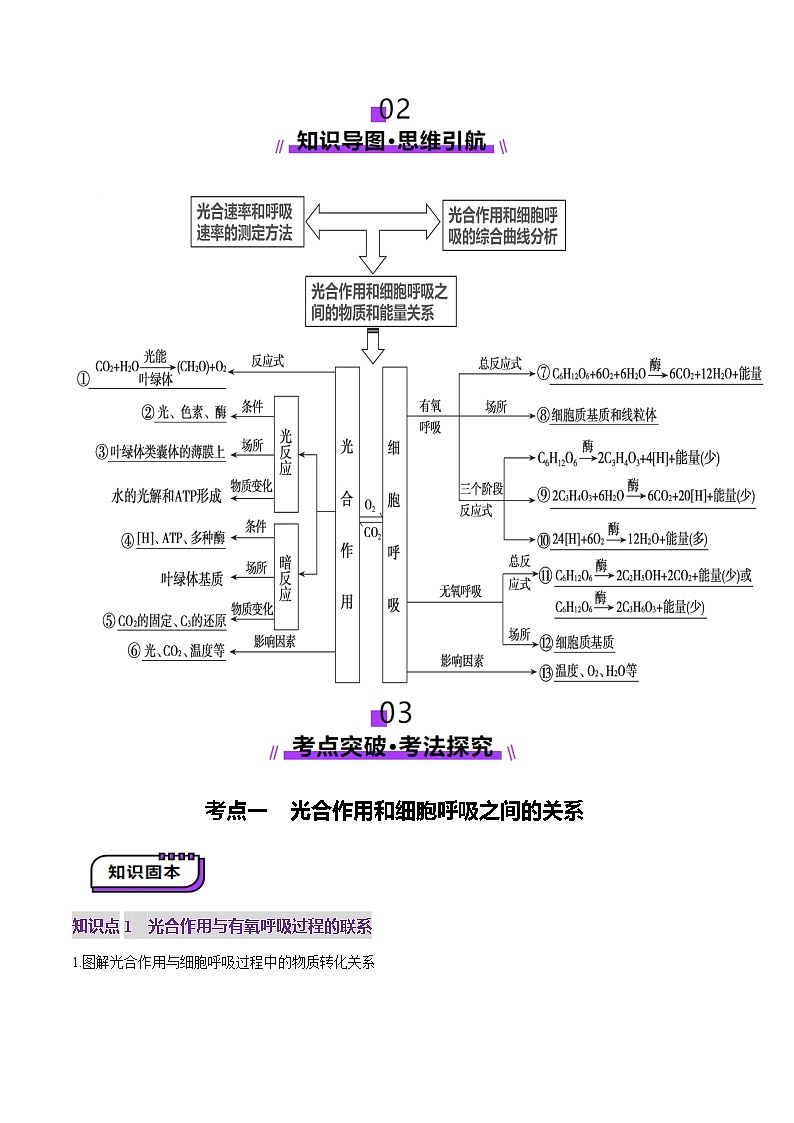 新高考生物一輪復(fù)習(xí)講練測第11講 細(xì)胞代謝綜合分析（講義）（原卷版）第2頁