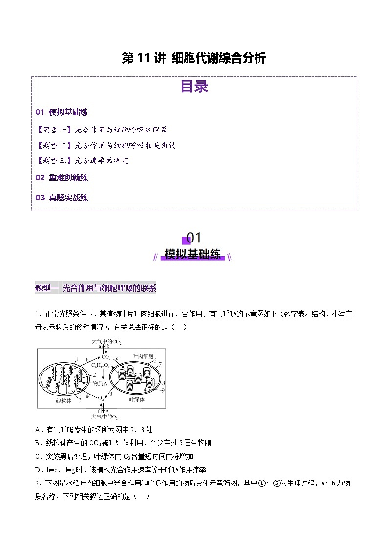 新高考生物一轮复习讲练测第11讲 细胞代谢综合分析(练习)(原卷版)第1页