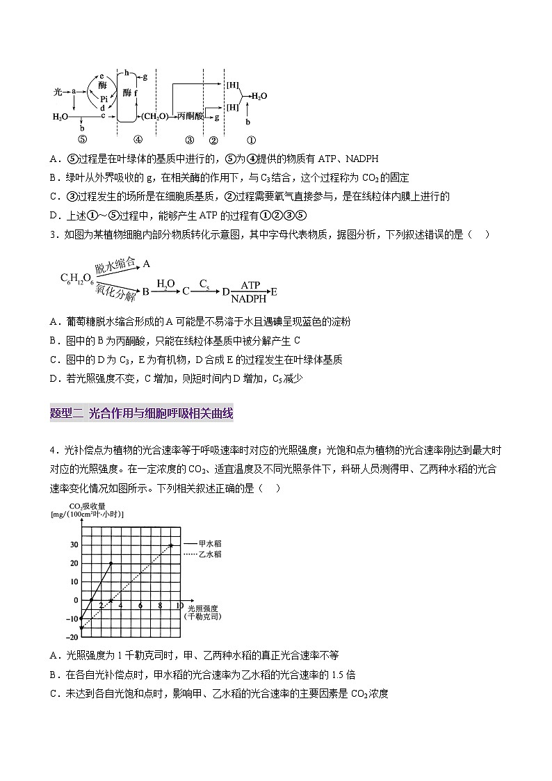新高考生物一轮复习讲练测第11讲 细胞代谢综合分析(练习)(原卷版)第2页