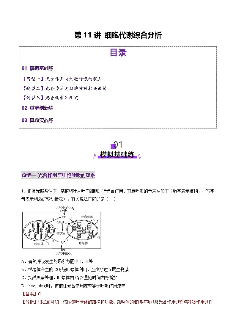 新高考生物一轮复习讲练测第11讲 细胞代谢综合分析(练习)(解析版)第1页