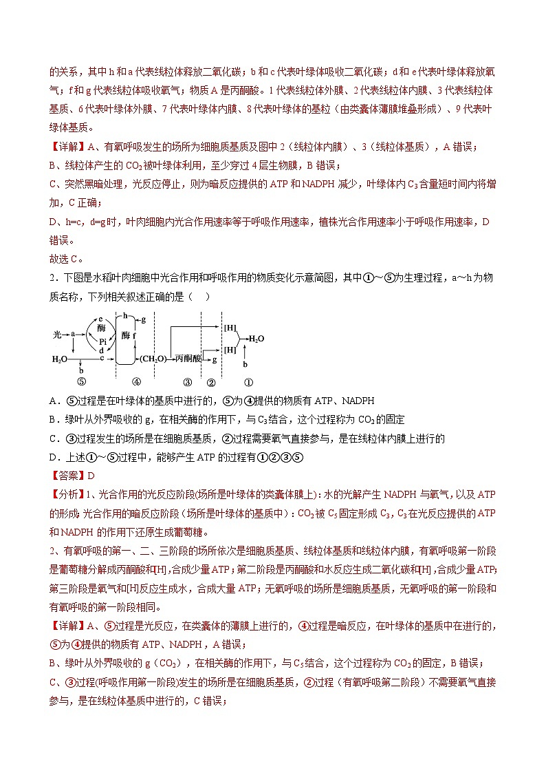 新高考生物一轮复习讲练测第11讲 细胞代谢综合分析(练习)(解析版)第2页