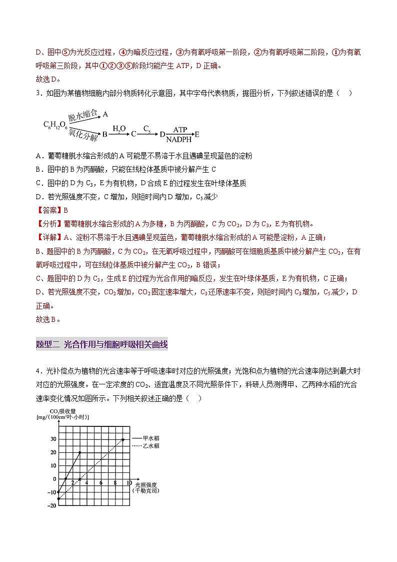 新高考生物一轮复习讲练测第11讲 细胞代谢综合分析(练习)(解析版)第3页