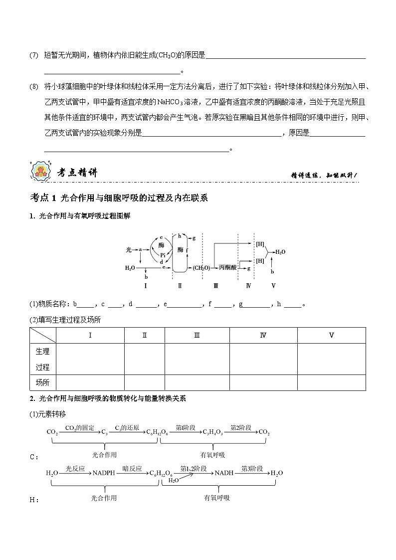 新高考生物二轮复习讲练测第4讲 光合作用和细胞呼吸(讲练)(原卷版)第3页