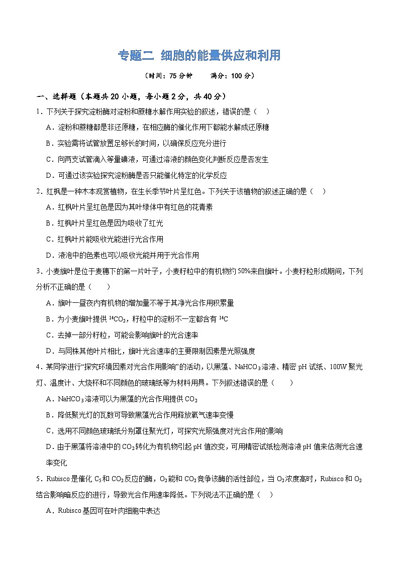 新高考生物二轮复习讲练测专题二 细胞的能量供应和利用(测试)(原卷版)第1页