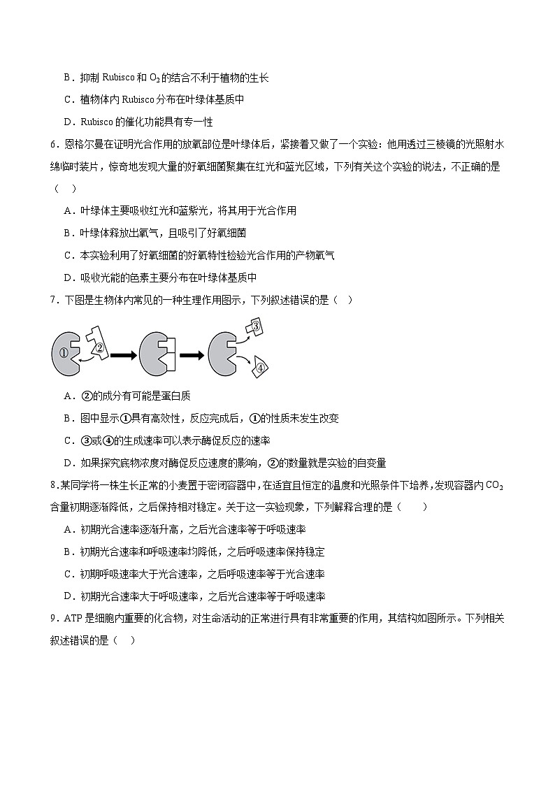 新高考生物二轮复习讲练测专题二 细胞的能量供应和利用(测试)(原卷版)第2页
