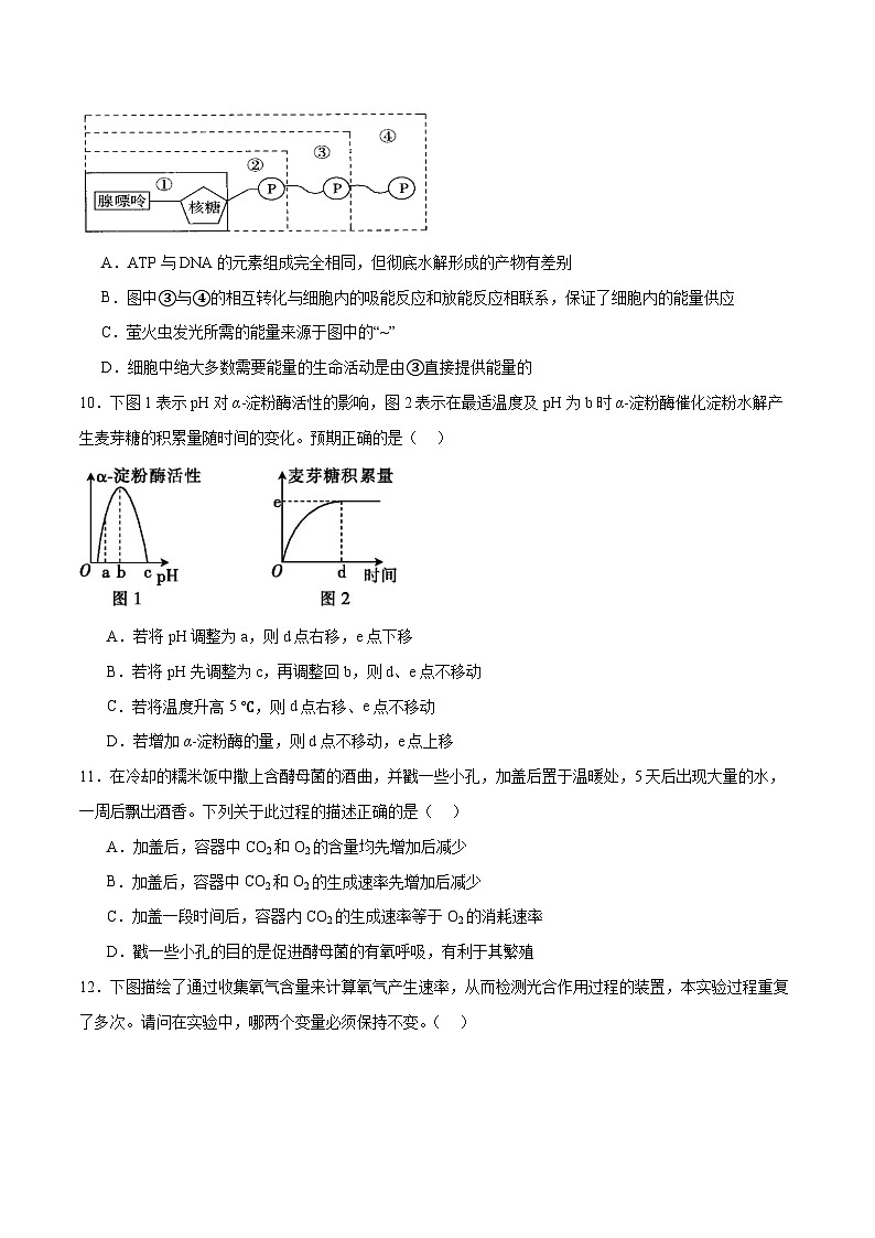 新高考生物二轮复习讲练测专题二 细胞的能量供应和利用(测试)(原卷版)第3页