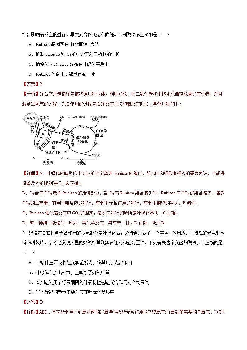 新高考生物二轮复习讲练测专题二 细胞的能量供应和利用(测试)(解析版)第3页
