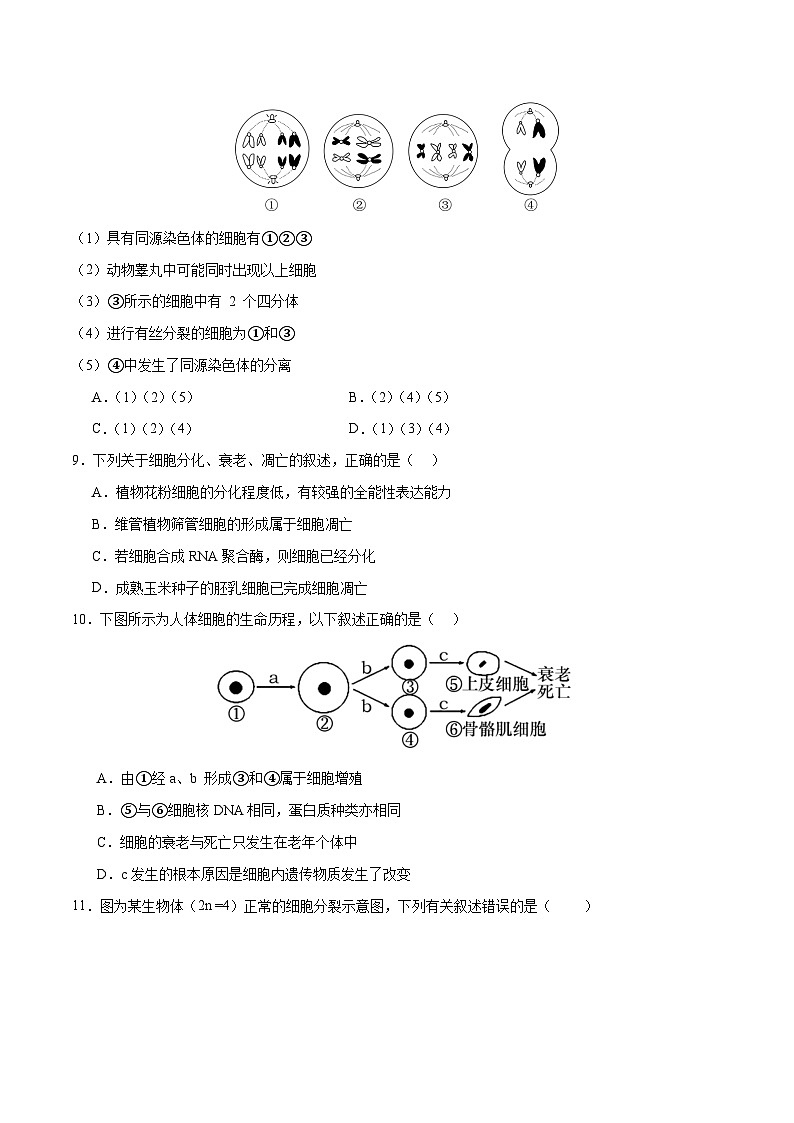 新高考生物二轮复习讲练测专题三 细胞的生命历程(测试)(原卷版)第3页