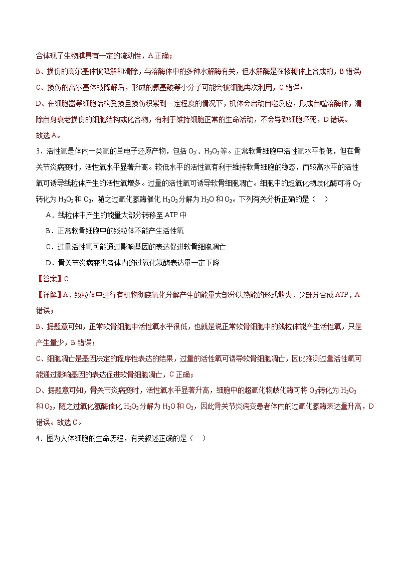 新高考生物二轮复习讲练测专题三 细胞的生命历程(测试)(解析版)第2页