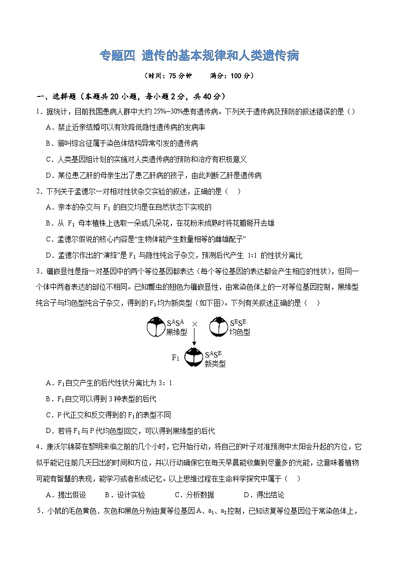 新高考生物二轮复习讲练测专题四 遗传的基本规律和人类遗传病(测试)(原卷版)第1页