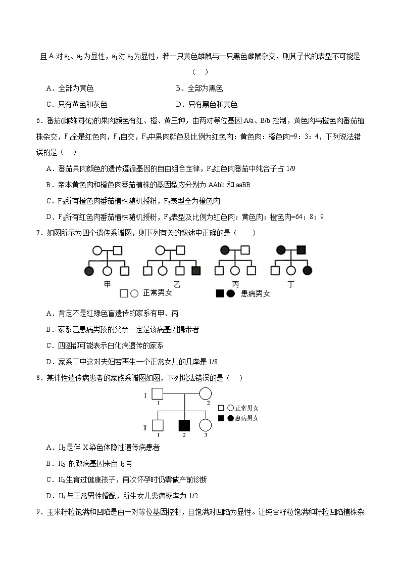 新高考生物二轮复习讲练测专题四 遗传的基本规律和人类遗传病(测试)(原卷版)第2页