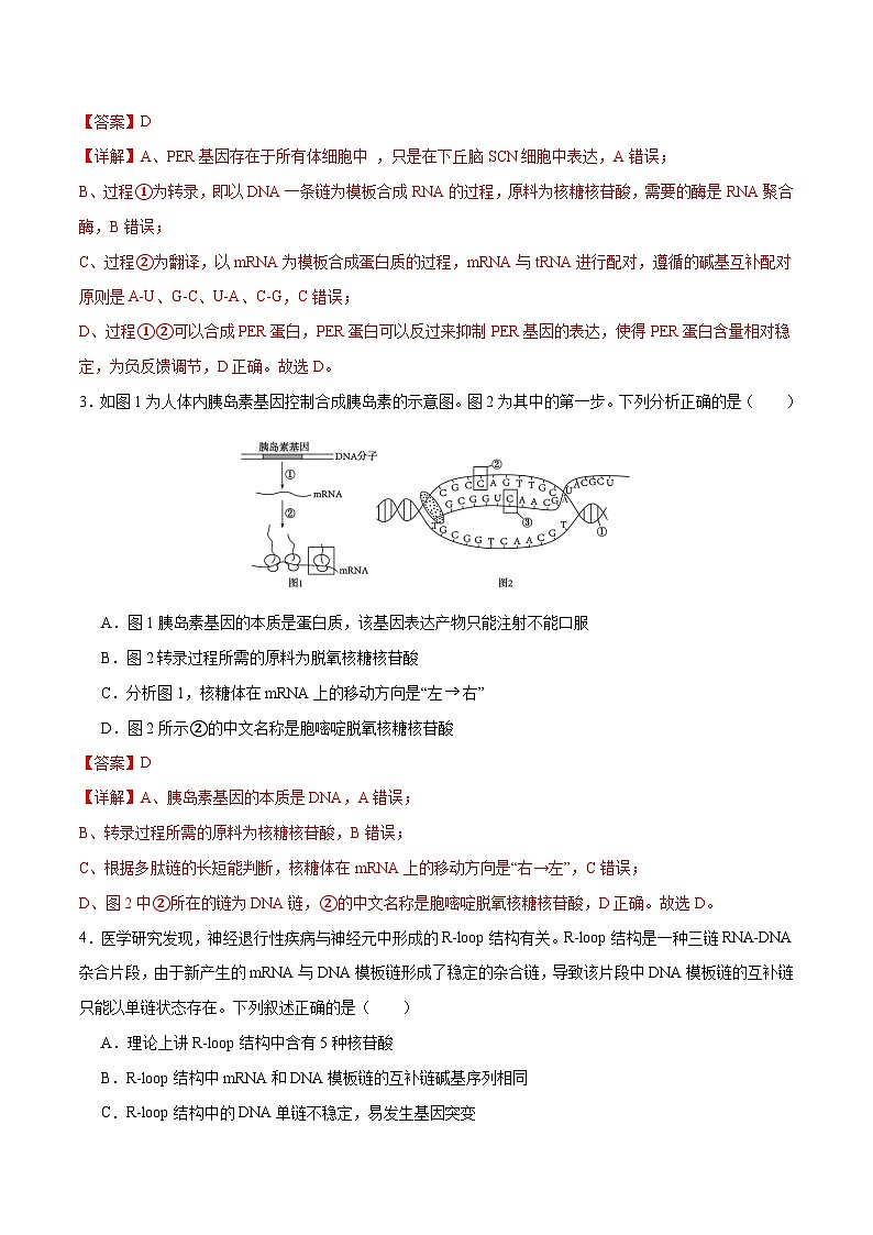 新高考生物二轮复习讲练测专题五 遗传的分子基础、变异和进化(测试)(解析版)第2页