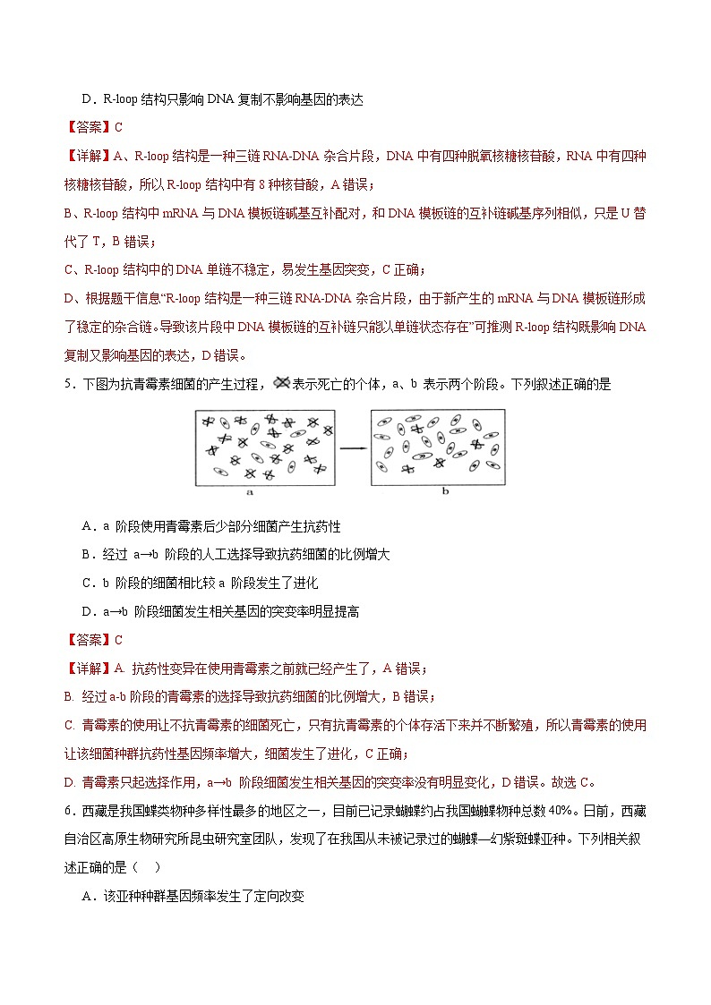 新高考生物二轮复习讲练测专题五 遗传的分子基础、变异和进化(测试)(解析版)第3页