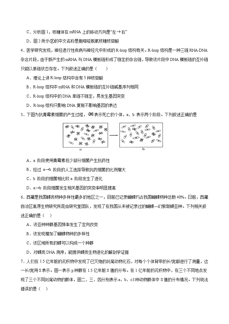 新高考生物二轮复习讲练测专题五 遗传的分子基础、变异和进化(测试)(原卷版)第2页