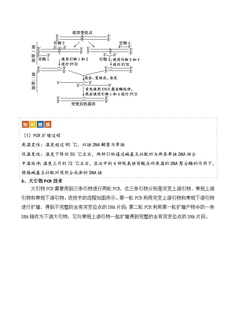 新高考生物二轮复习讲练测热点链接 基因工程的相关热点(2份,原卷版+解析版)03
