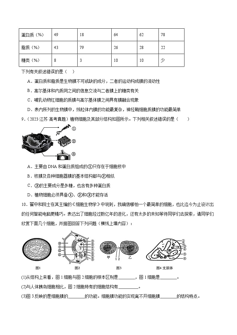 新高考生物二轮复习讲练测第02讲 细胞的基本结构、功能与物质进出细胞的方式(练习)(2份,原卷版+解析版)03