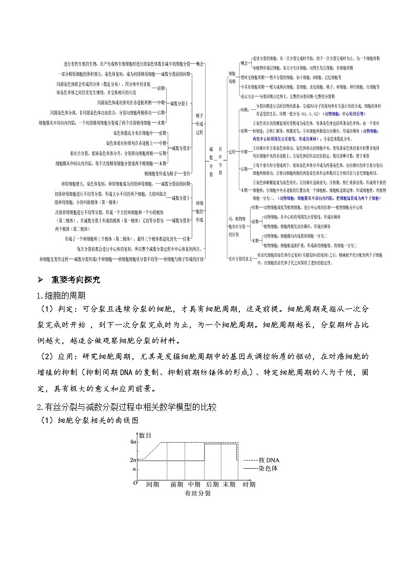 新高考生物二轮复习讲练测第05讲 细胞的增殖与受精作用(讲义)(2份,原卷版+解析版)03