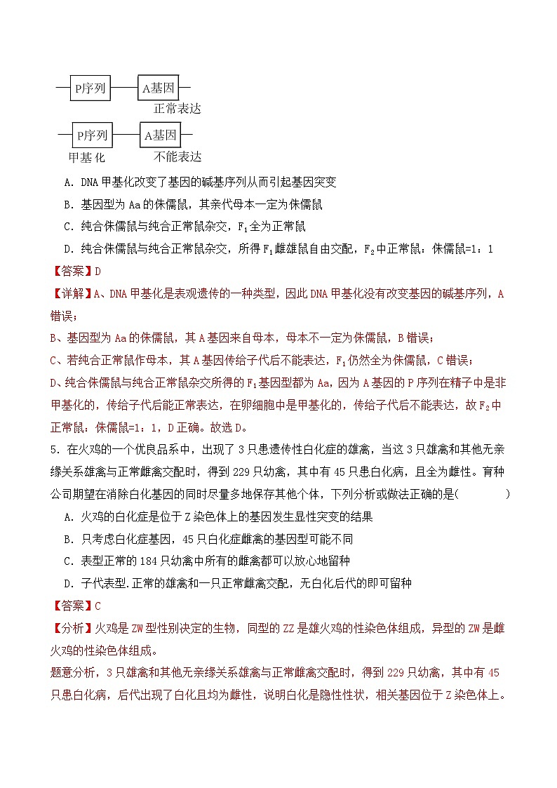 新高考生物二轮复习讲练测第07讲 基因的分离定律和自由组合定律(练习)(解析版)第3页