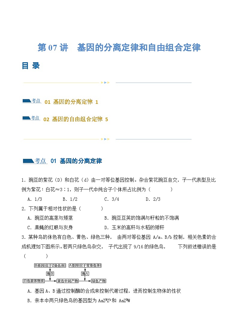 新高考生物二轮复习讲练测第07讲 基因的分离定律和自由组合定律(练习)(原卷版)第1页