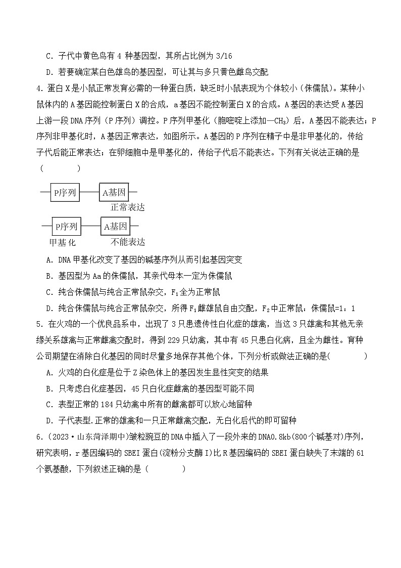 新高考生物二轮复习讲练测第07讲 基因的分离定律和自由组合定律(练习)(原卷版)第2页