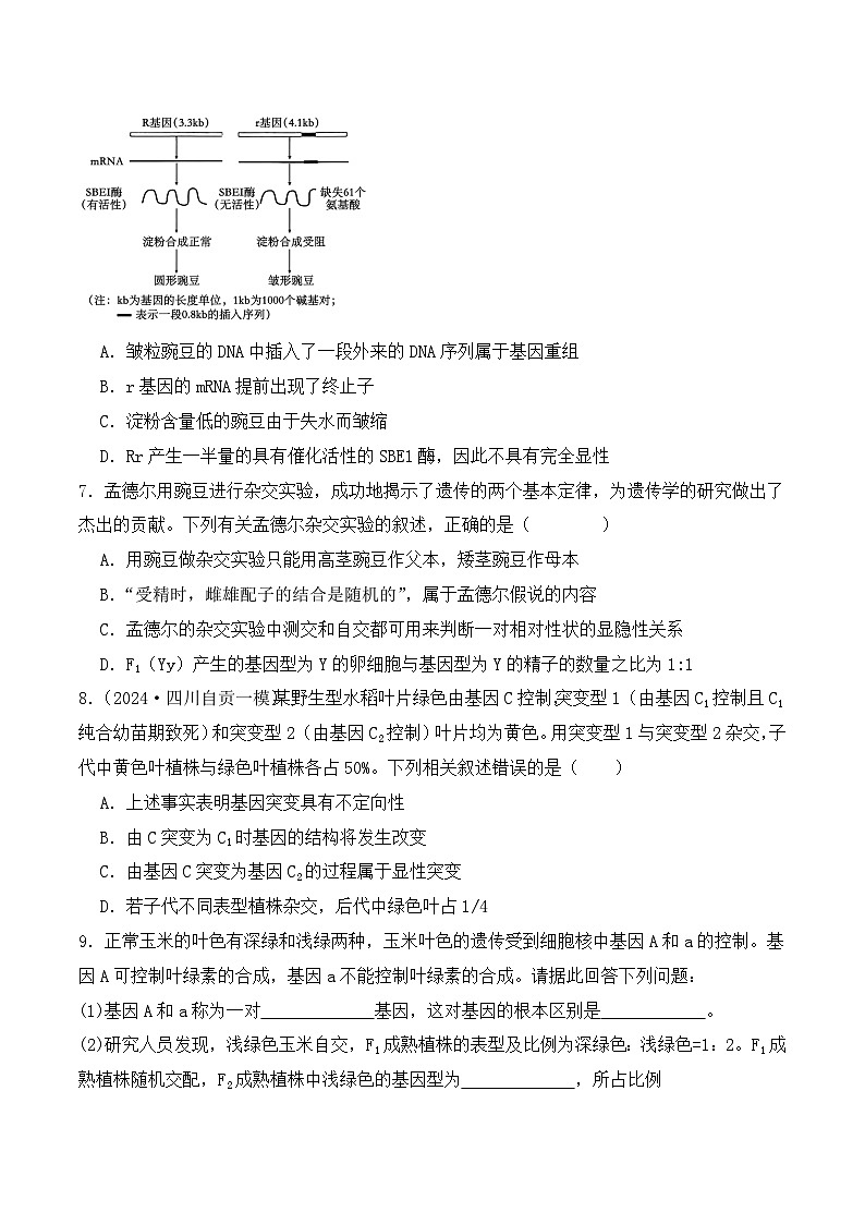 新高考生物二轮复习讲练测第07讲 基因的分离定律和自由组合定律(练习)(原卷版)第3页
