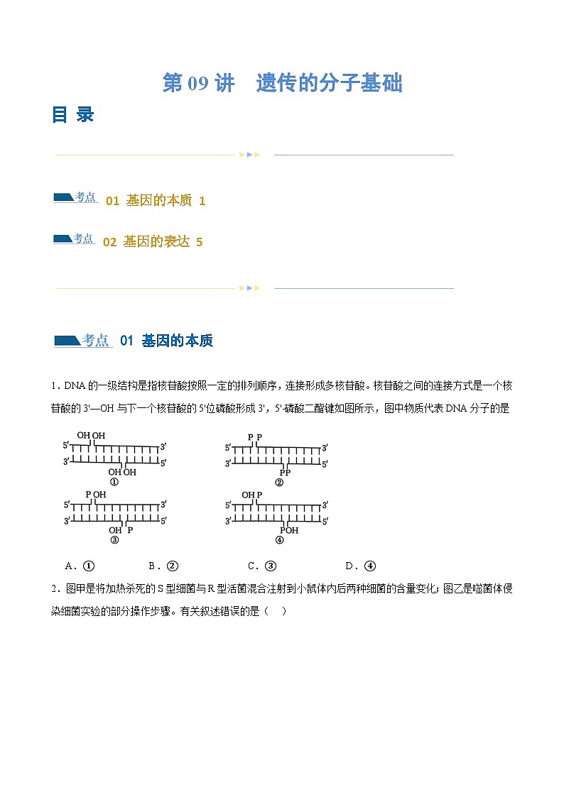 新高考生物二轮复习讲练测第09讲 遗传的分子基础(练习)(2份,原卷版+解析版)01