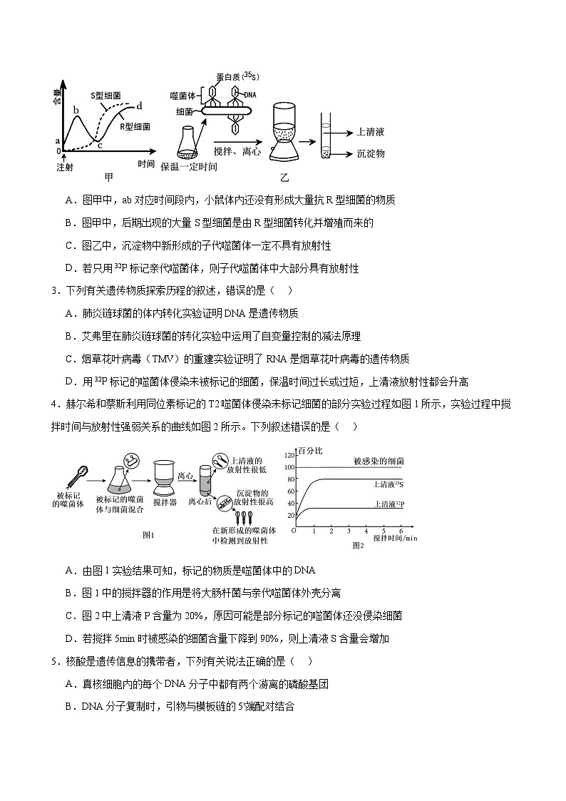 新高考生物二轮复习讲练测第09讲 遗传的分子基础(练习)(2份,原卷版+解析版)02