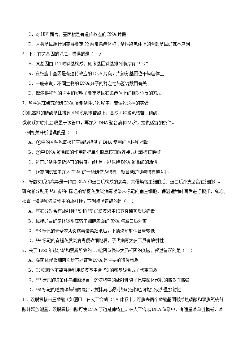 新高考生物二轮复习讲练测第09讲 遗传的分子基础(练习)(2份,原卷版+解析版)03