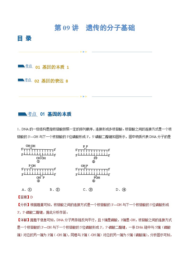 新高考生物二轮复习讲练测第09讲 遗传的分子基础(练习)(2份,原卷版+解析版)01
