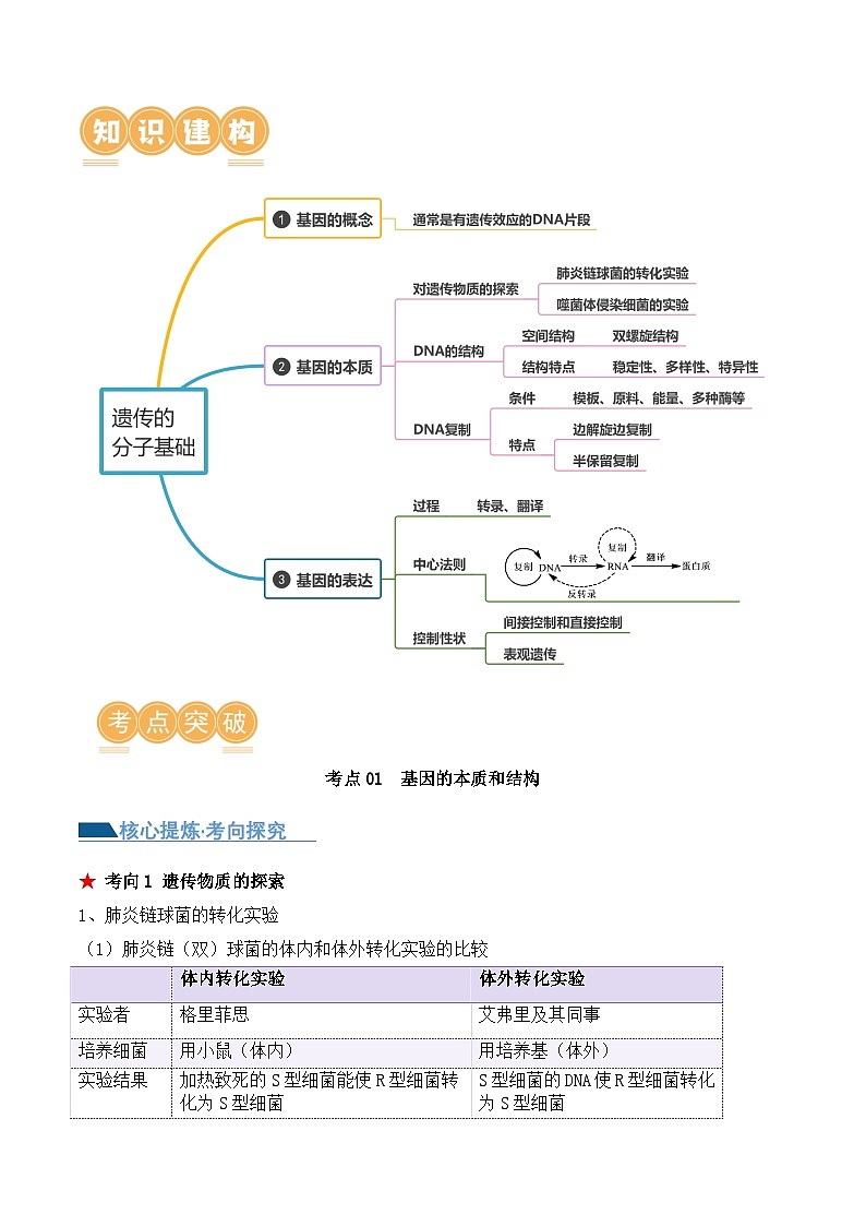 新高考生物二轮复习讲练测第09讲 遗传的分子基础(讲义)(2份,原卷版+解析版)02