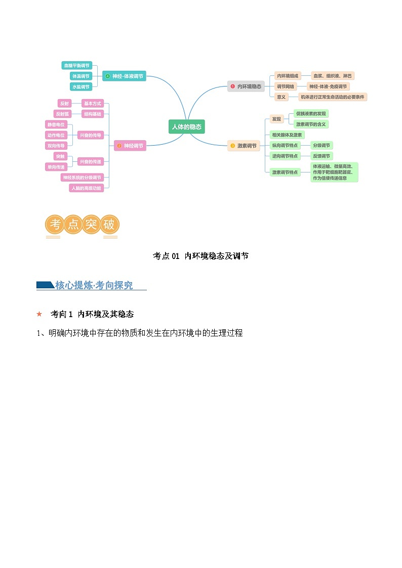 新高考生物二轮复习讲练测第11讲 神经调节和体液调节(讲义)-原卷版第2页