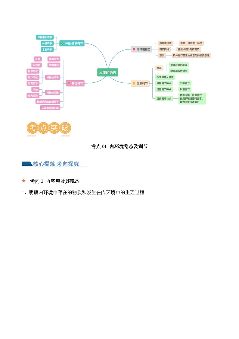 新高考生物二轮复习讲练测第11讲 神经调节和体液调节(讲义)-解析版第2页