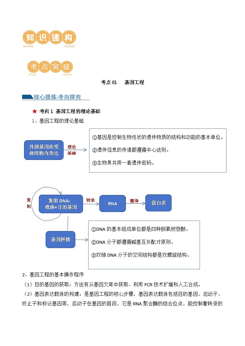 新高考生物二轮复习讲练测第18讲 基因工程(讲义)(2份,原卷版+解析版)02