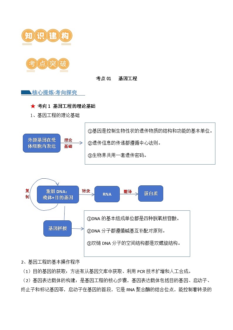 新高考生物二轮复习讲练测第18讲 基因工程(讲义)(2份,原卷版+解析版)02