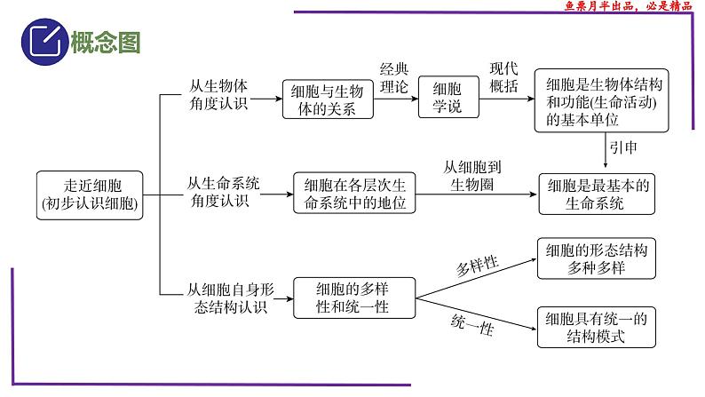 (新人教版)新高考生物一轮复习精讲课件02 生命系统的结构层次(含答案)第3页