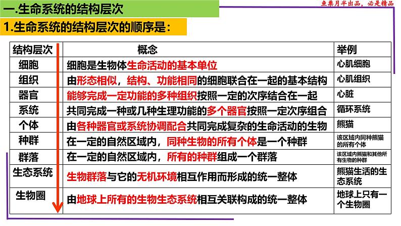 (新人教版)新高考生物一轮复习精讲课件02 生命系统的结构层次(含答案)第5页