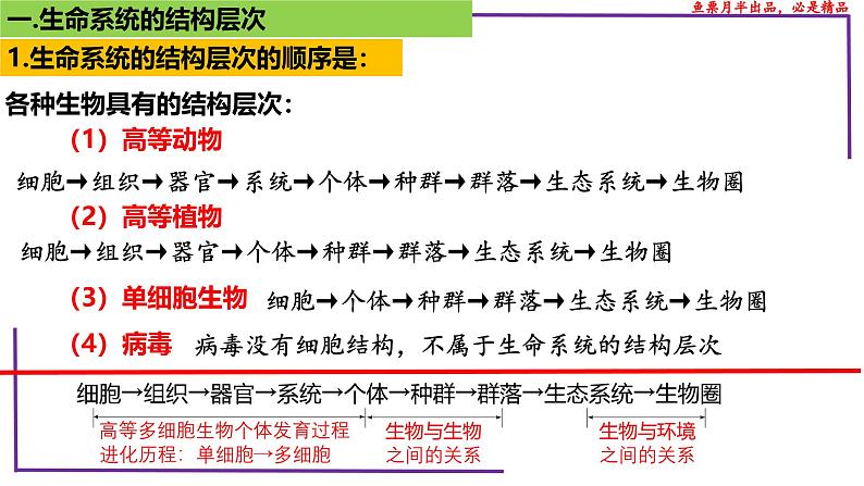 (新人教版)新高考生物一轮复习精讲课件02 生命系统的结构层次(含答案)第6页