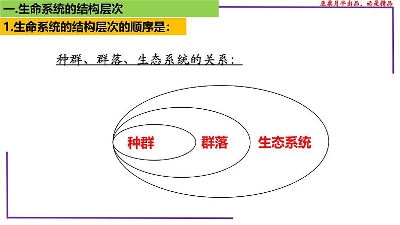 (新人教版)新高考生物一轮复习精讲课件02 生命系统的结构层次(含答案)第7页