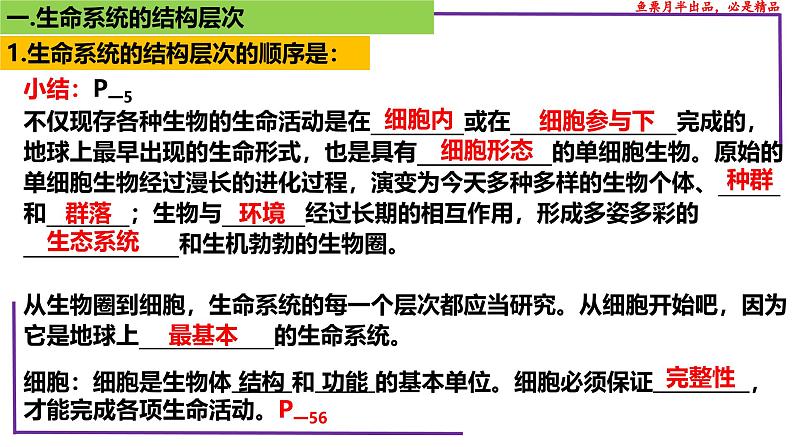 (新人教版)新高考生物一轮复习精讲课件02 生命系统的结构层次(含答案)第8页