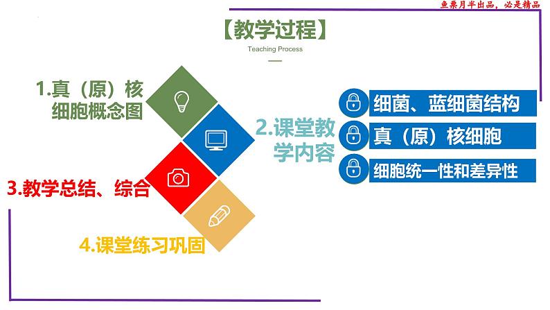 (新人教版)新高考生物一轮复习精讲课件04 细胞的多样性和统一性(含答案)第2页