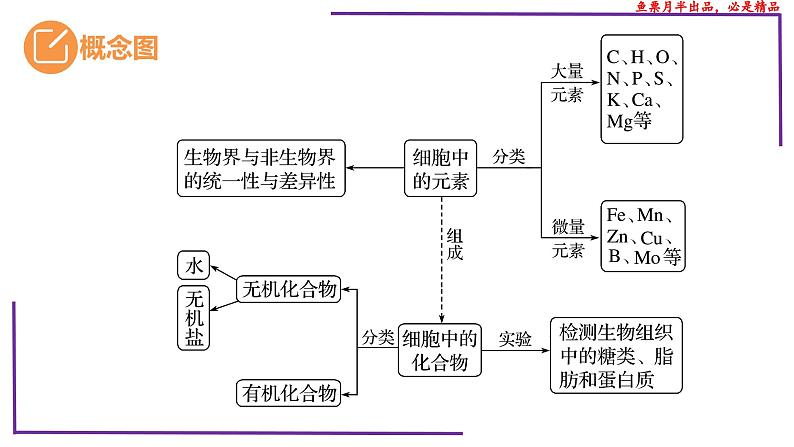 (新人教版)新高考生物一轮复习精讲课件05 元素和化合物 水 无机盐、物质检测(含答案)第3页