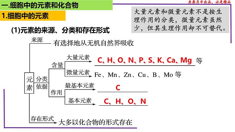 (新人教版)新高考生物一轮复习精讲课件05 元素和化合物 水 无机盐、物质检测(含答案)第4页