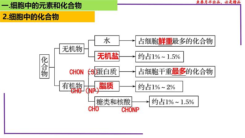 (新人教版)新高考生物一轮复习精讲课件05 元素和化合物 水 无机盐、物质检测(含答案)第8页