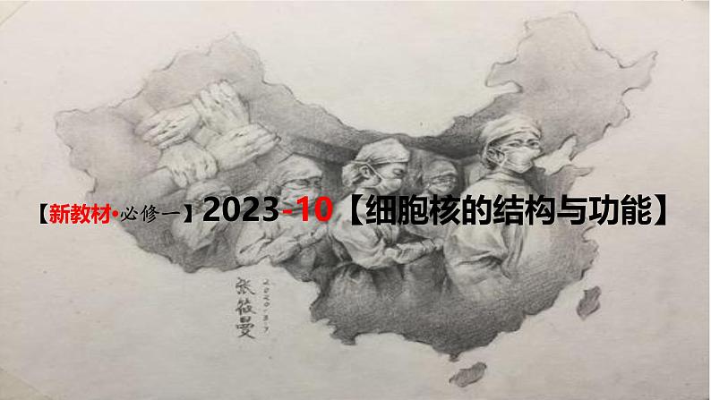 (新人教版)新高考生物一轮复习精讲课件10 细胞核的结构和功能(含答案)第1页