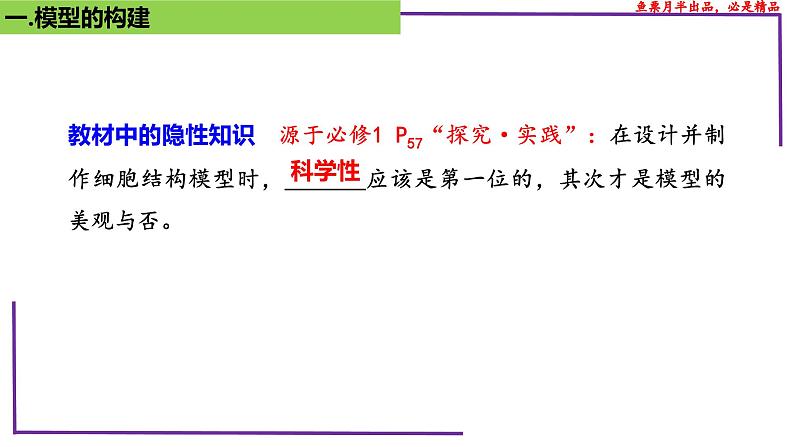 (新人教版)新高考生物一轮复习精讲课件10 细胞核的结构和功能(含答案)第5页